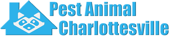 Charlottesville Wildlife and Animal Removal